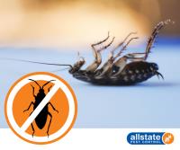 Allstate Pest Control image 11